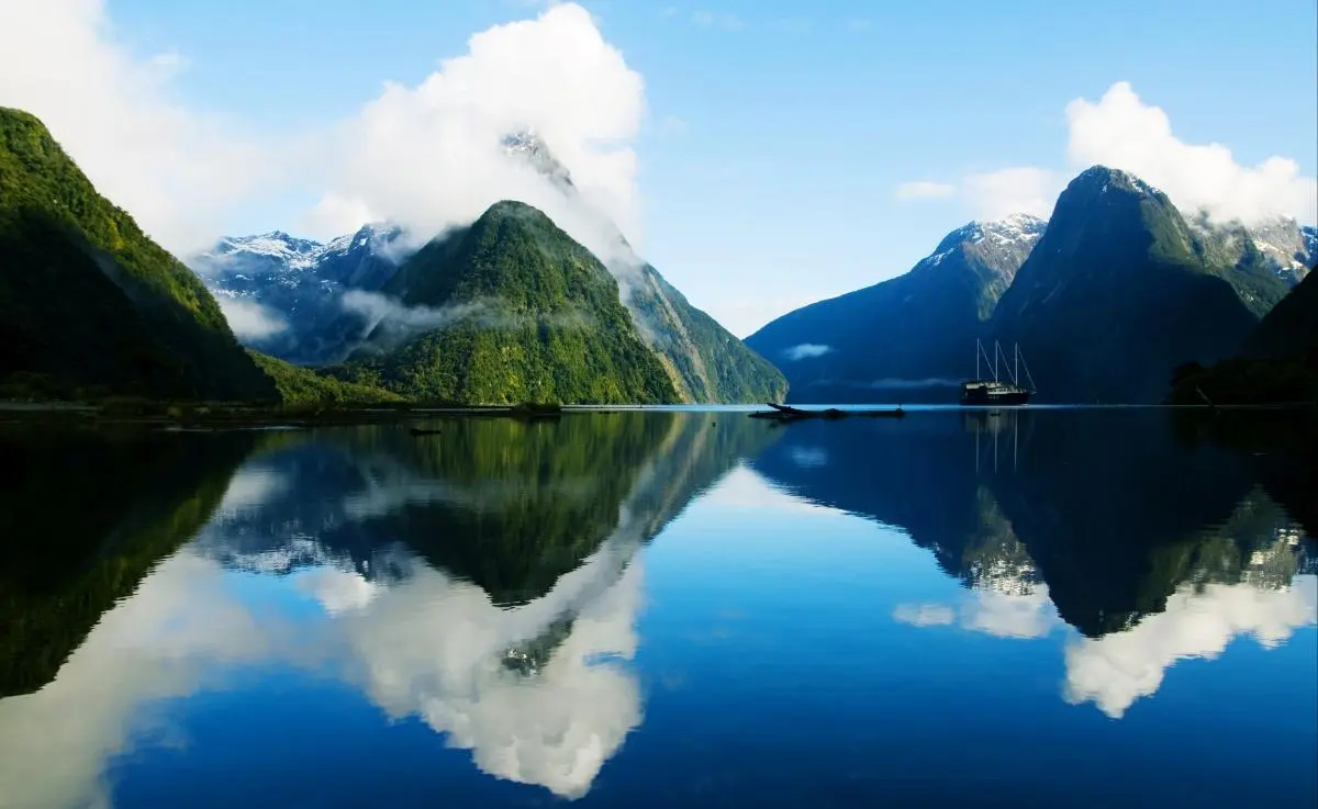 数字化绿色